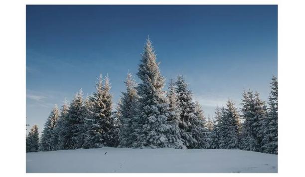 RECOM Plants 700 Trees To Offset CO2 Footprint