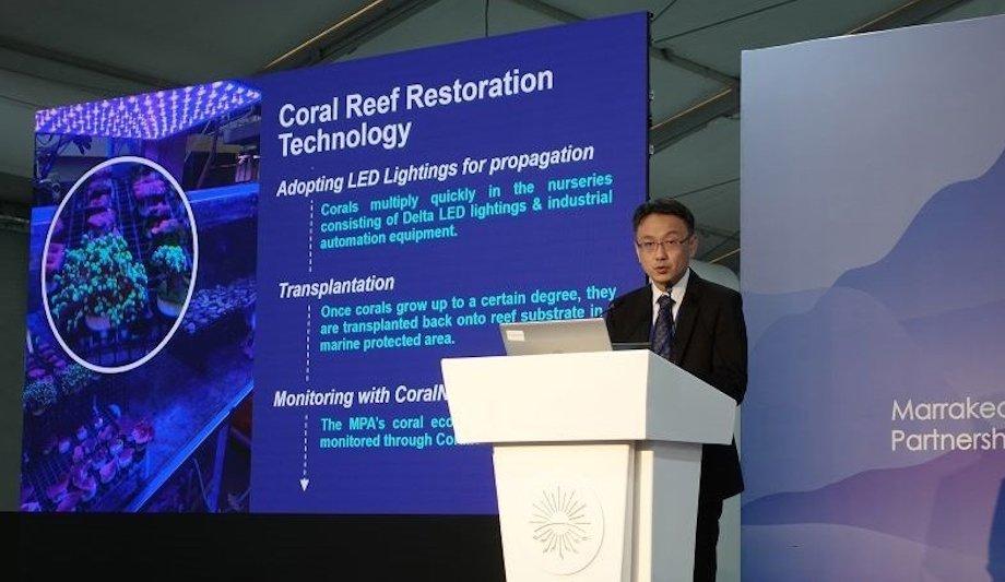 Delta Leads Coral Restoration At COP27